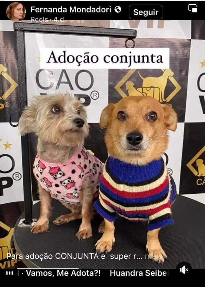 Lilica e Pequeno