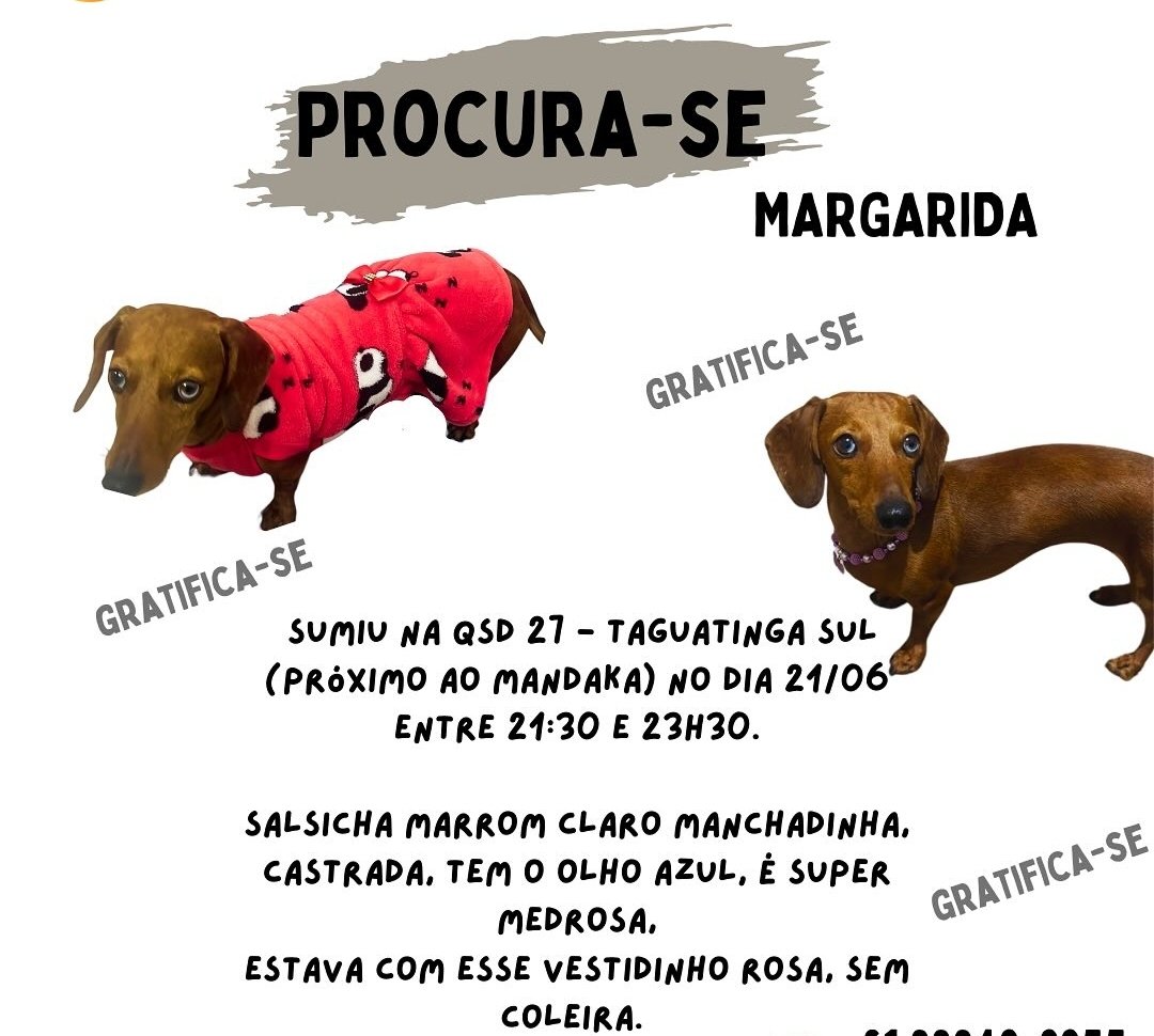 Margarida