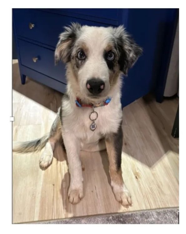 (Foi encontrado!) Rodolfo